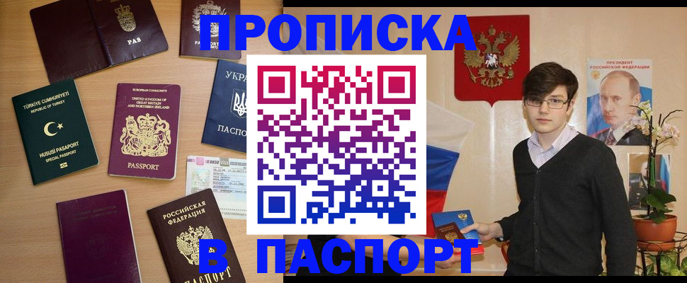 прописка 2025 в Электрогорске